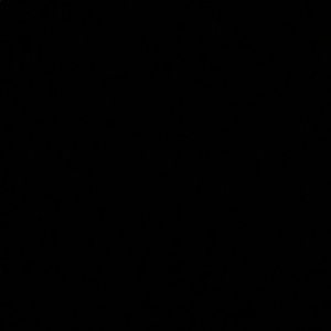 Meet your Posher, Charlie